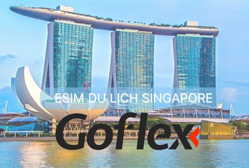 Cách Chọn SIM Du Lịch Singapore Phù Hợp Nhất Cho Bạn | Goflex